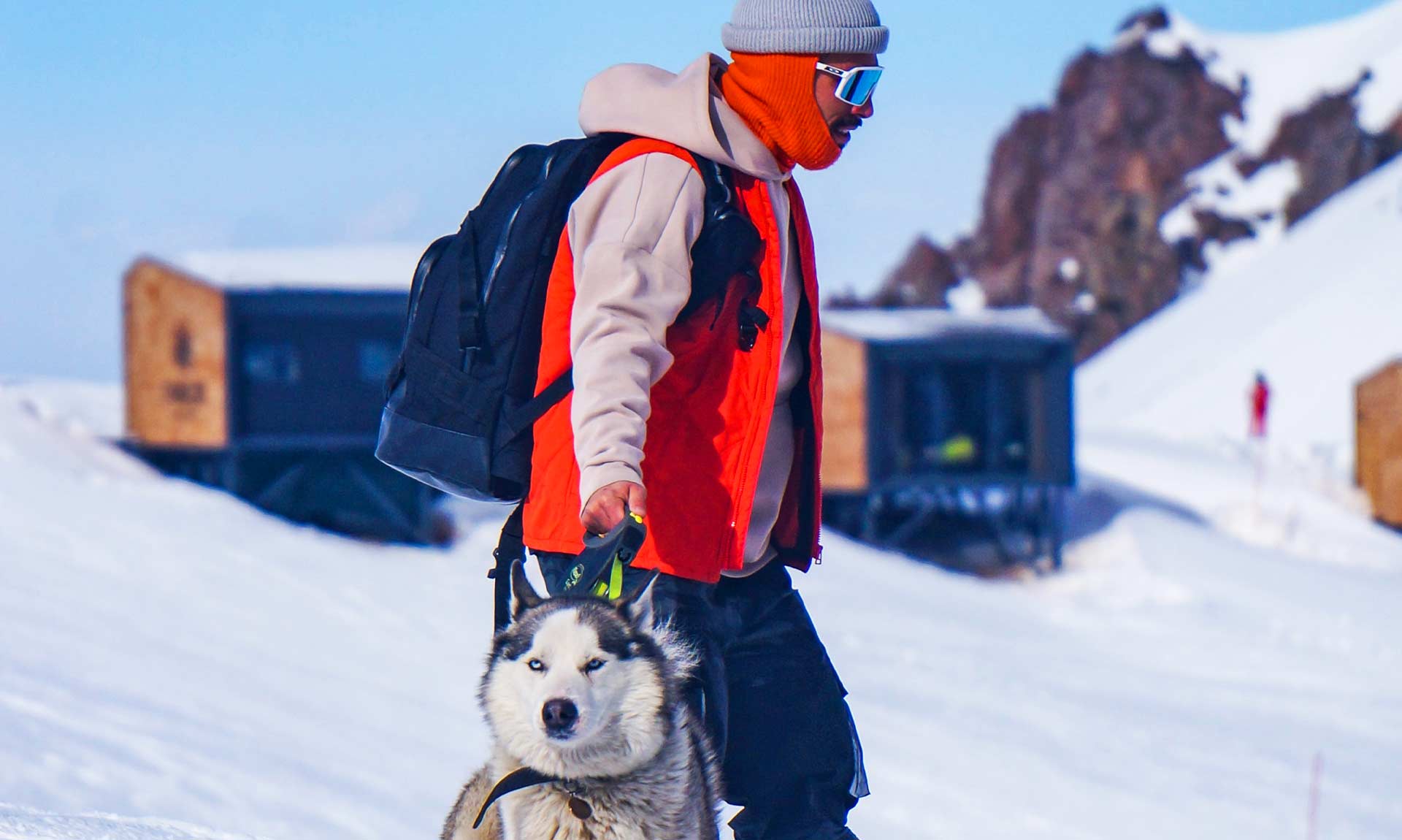 Person Walking Husky in the Snow Person Walking Husky in the Snow
