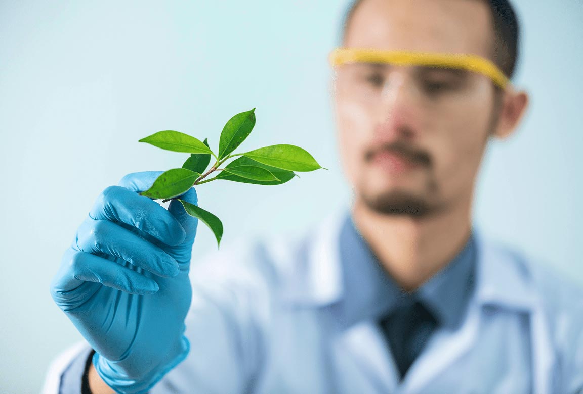 Plants & Earth Study